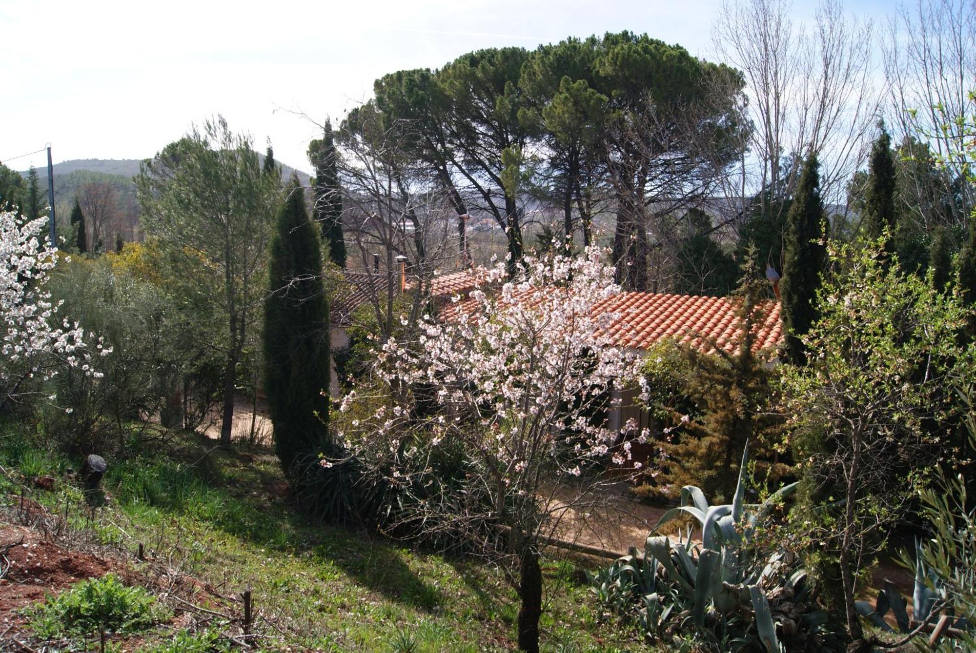 Cortijos